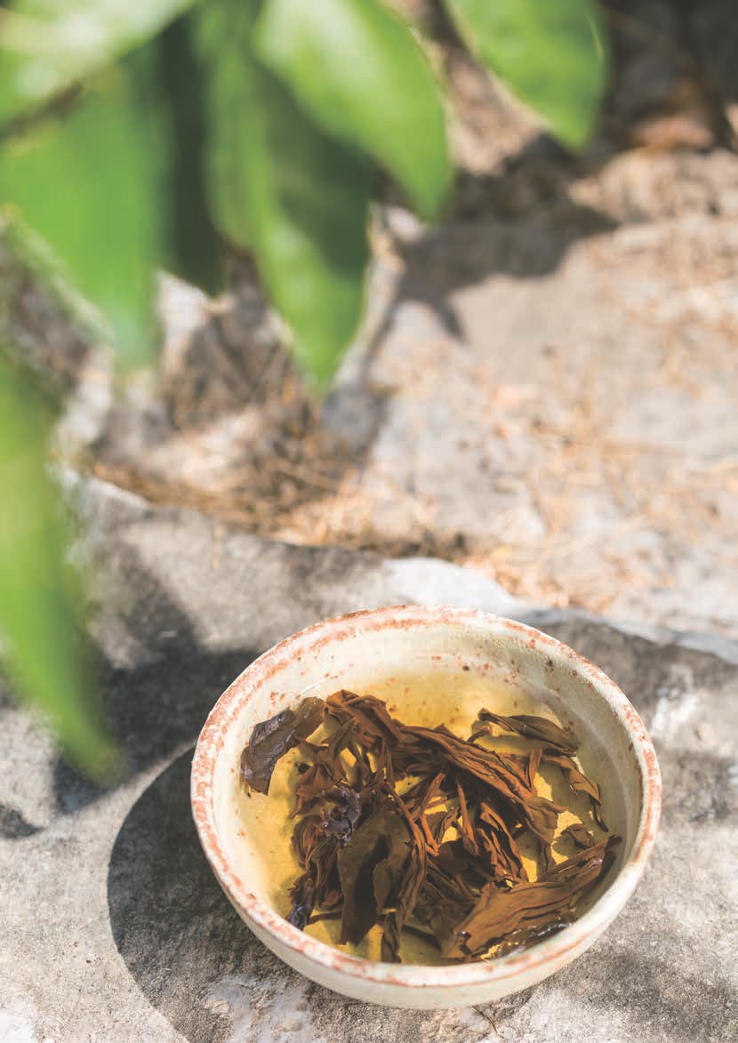 Global Tea Hut Archive - October 2014 Issue - October 2014